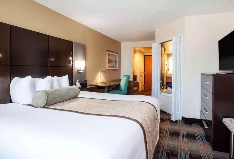 Fotos del hotel Wingate By Wyndham  Orlando International Airport:  3