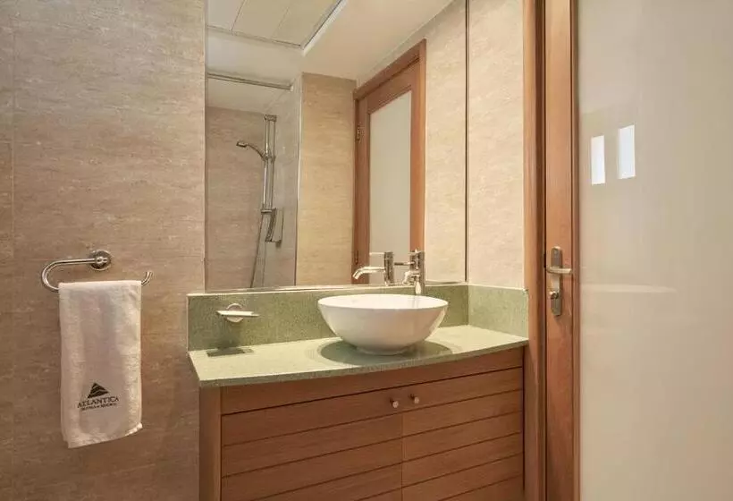 Fotos del hotel Hotel Atlantica Oasis:  14