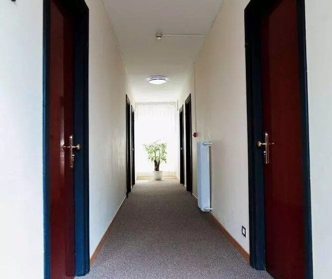 Fotos del hotel Dei Fiori:  3