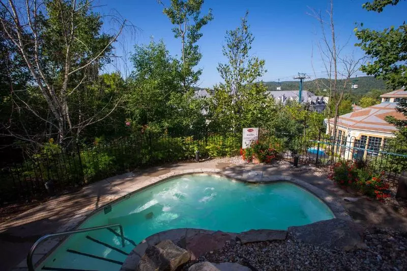 Fotos del hotel Le Lodge de la Montagne:  7