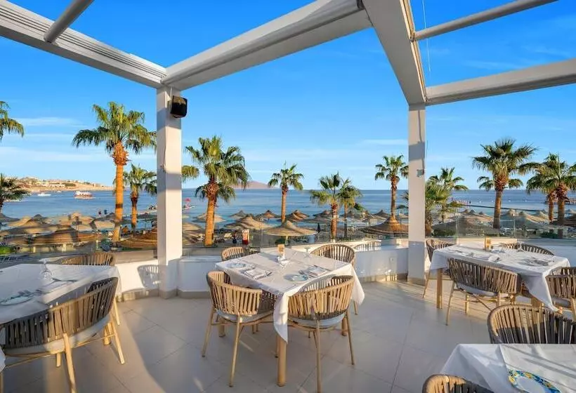 Fotos del hotel Savoy Sharm El Sheikh:  5