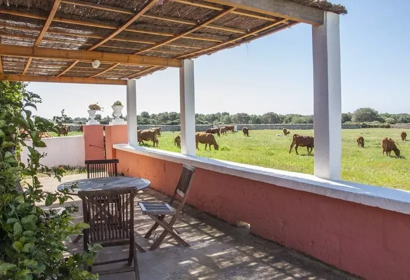 Fotos del hotel Agroturismo Son Triay:  7