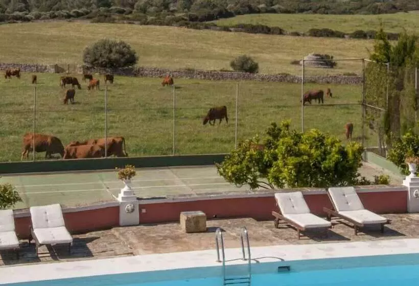 Fotos del hotel Agroturismo Son Triay:  30