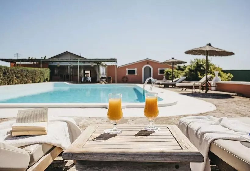 Fotos del hotel Agroturismo Son Triay:  5