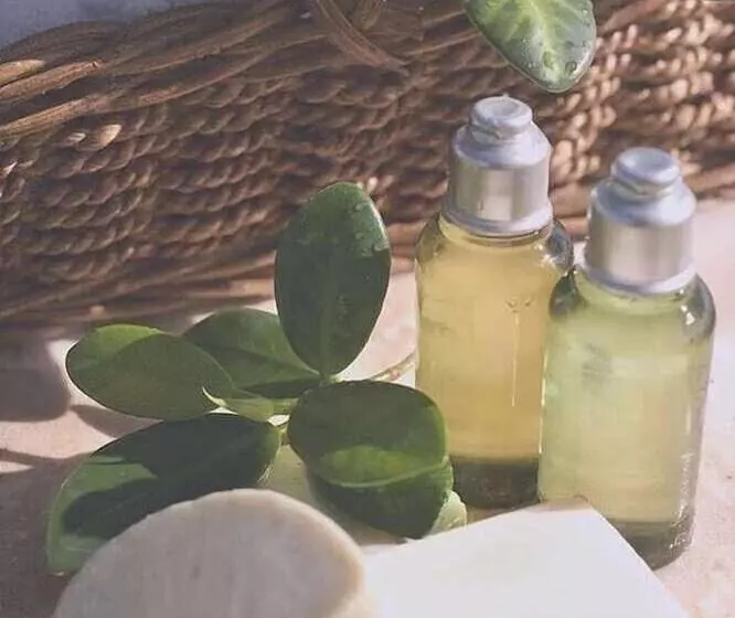 Fotos del hotel Casa Rosa Montes:  5