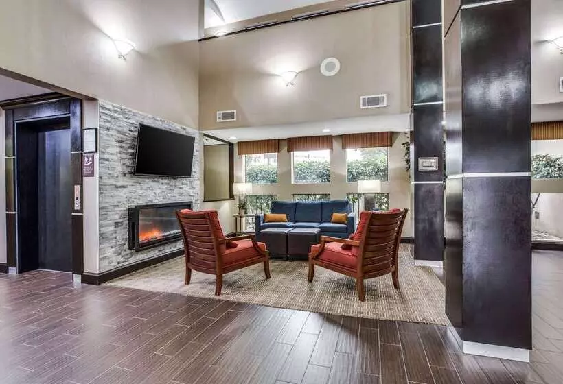 Fotos del hotel Comfort Inn & Suites Love Field – Dallas Market Center:  7