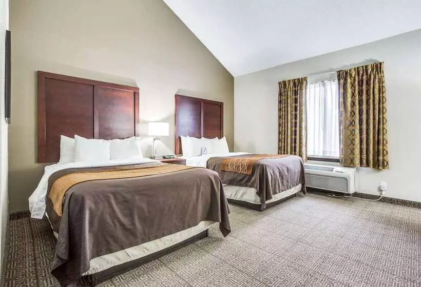 Fotos del hotel Comfort Inn & Suites Love Field – Dallas Market Center:  16