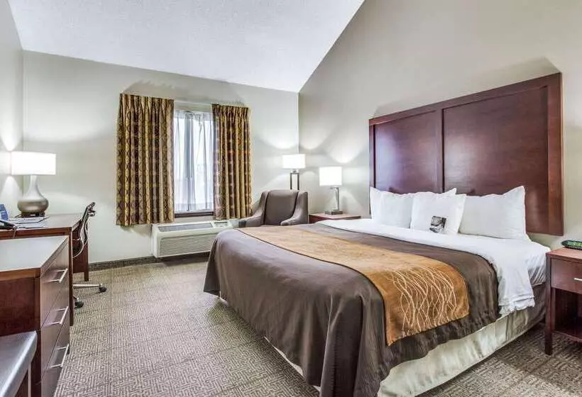 Fotos del hotel Comfort Inn & Suites Love Field – Dallas Market Center:  17
