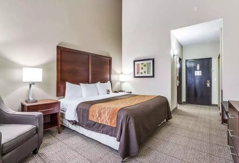 Fotos del hotel Comfort Inn & Suites Love Field – Dallas Market Center:  20