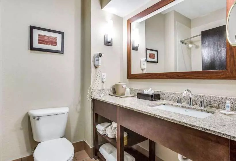 Fotos del hotel Comfort Inn & Suites Love Field – Dallas Market Center:  11