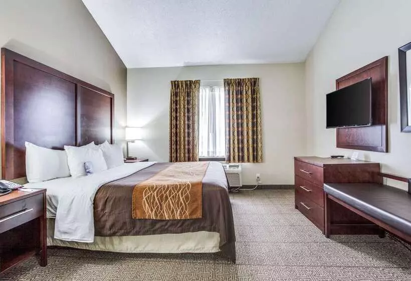 Fotos del hotel Comfort Inn & Suites Love Field – Dallas Market Center:  18
