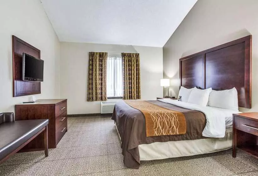 Fotos del hotel Comfort Inn & Suites Love Field – Dallas Market Center:  22
