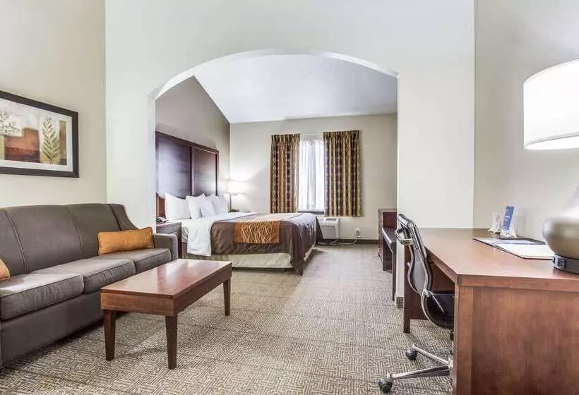 Fotos del hotel Comfort Inn & Suites Love Field – Dallas Market Center:  15