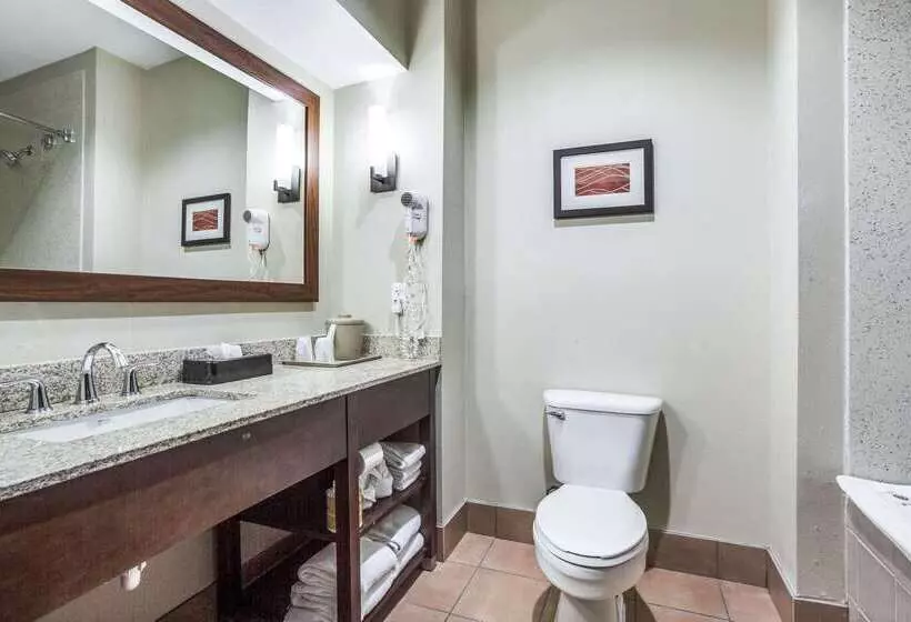 Fotos del hotel Comfort Inn & Suites Love Field – Dallas Market Center:  8