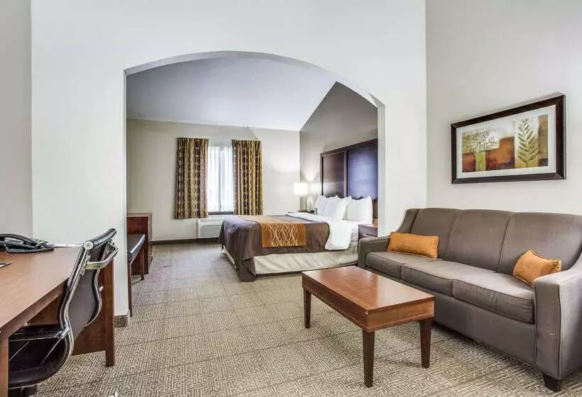 Fotos del hotel Comfort Inn & Suites Love Field – Dallas Market Center:  19