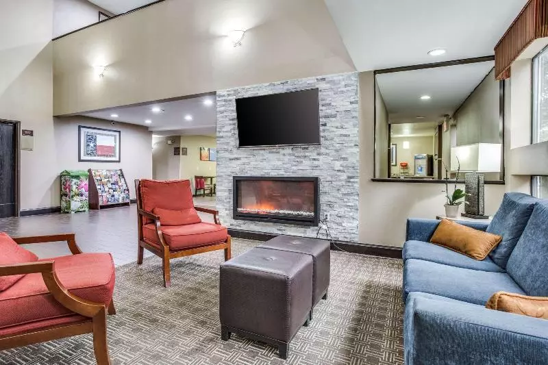 Fotos del hotel Comfort Inn & Suites Love Field – Dallas Market Center:  10