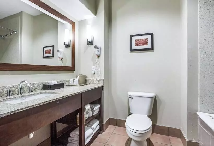 Fotos del hotel Comfort Inn & Suites Love Field – Dallas Market Center:  3