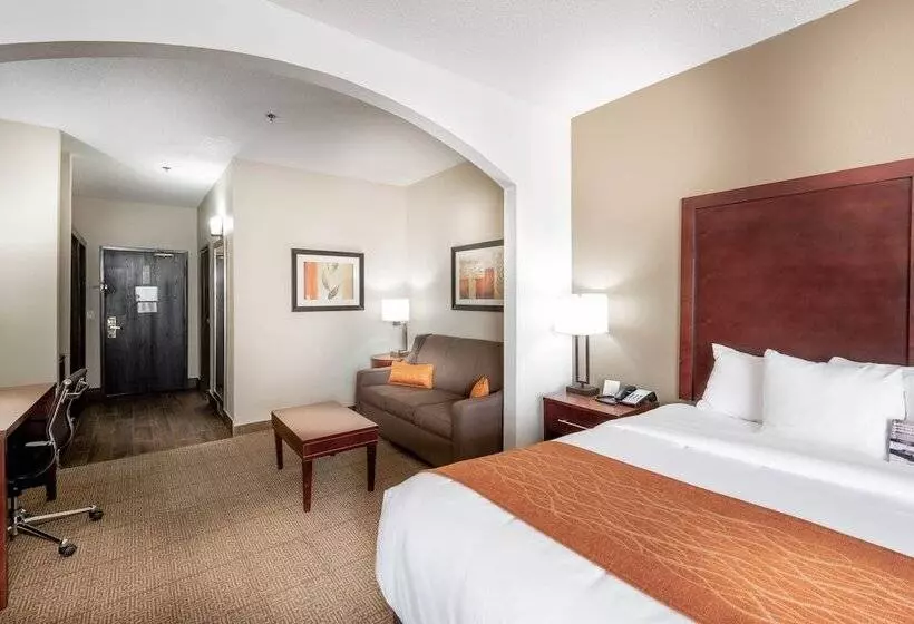 Fotos del hotel Comfort Inn & Suites Love Field – Dallas Market Center:  13