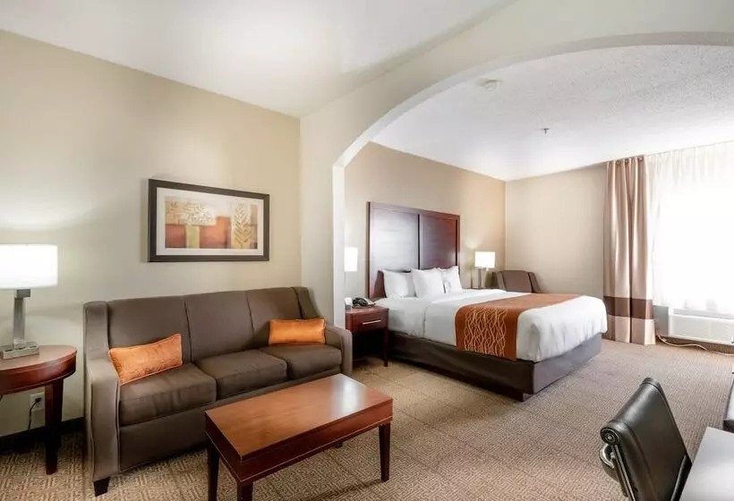 Fotos del hotel Comfort Inn & Suites Love Field – Dallas Market Center:  12