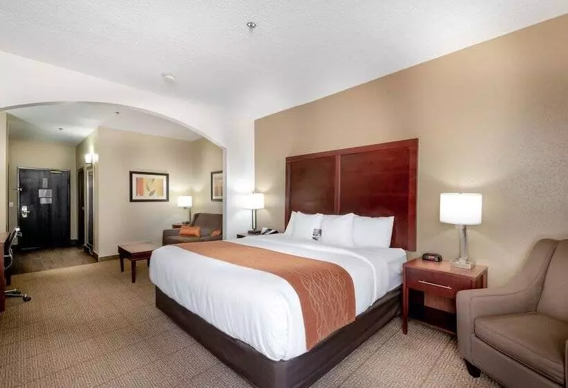 Fotos del hotel Comfort Inn & Suites Love Field – Dallas Market Center:  9