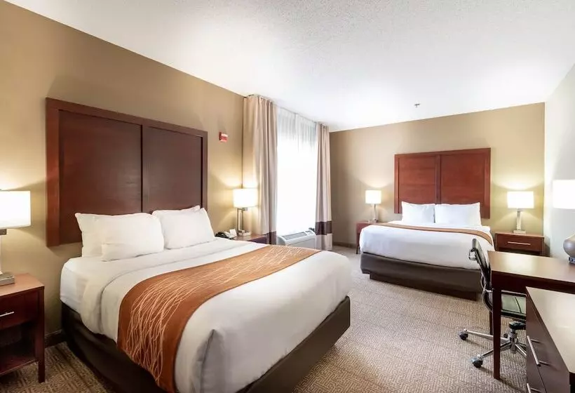 Fotos del hotel Comfort Inn & Suites Love Field – Dallas Market Center:  6