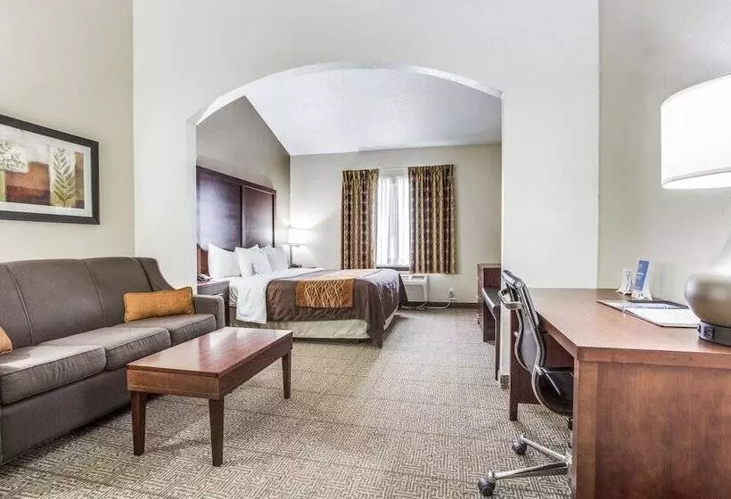 Fotos del hotel Comfort Inn & Suites Love Field – Dallas Market Center:  24