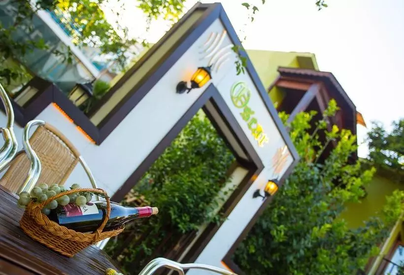 Fotos del hotel Oscar:  5