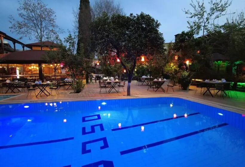 Fotos del hotel Oscar:  15