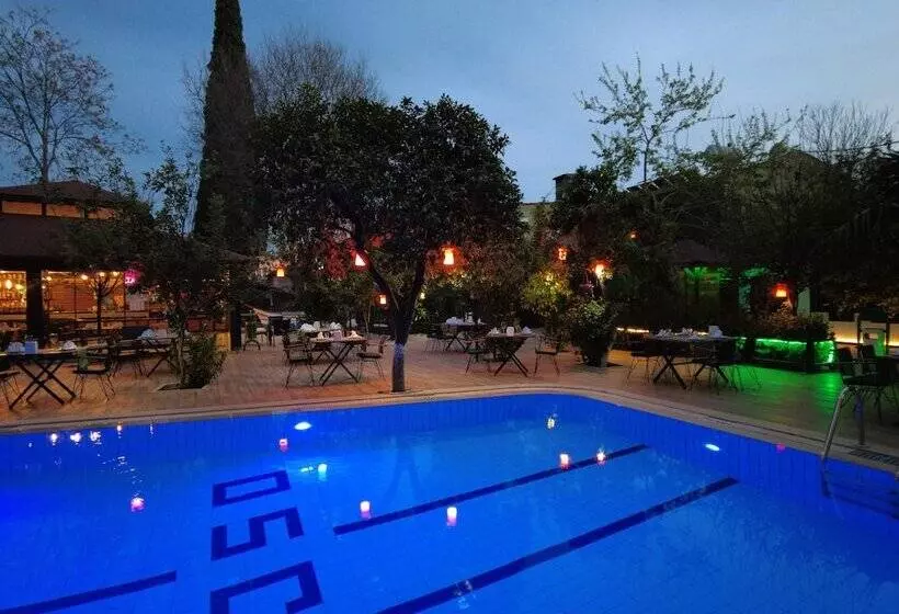 Fotos del hotel Oscar:  10