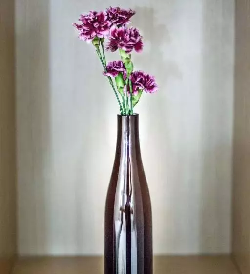 Fotos del hotel Sude Konak:  6