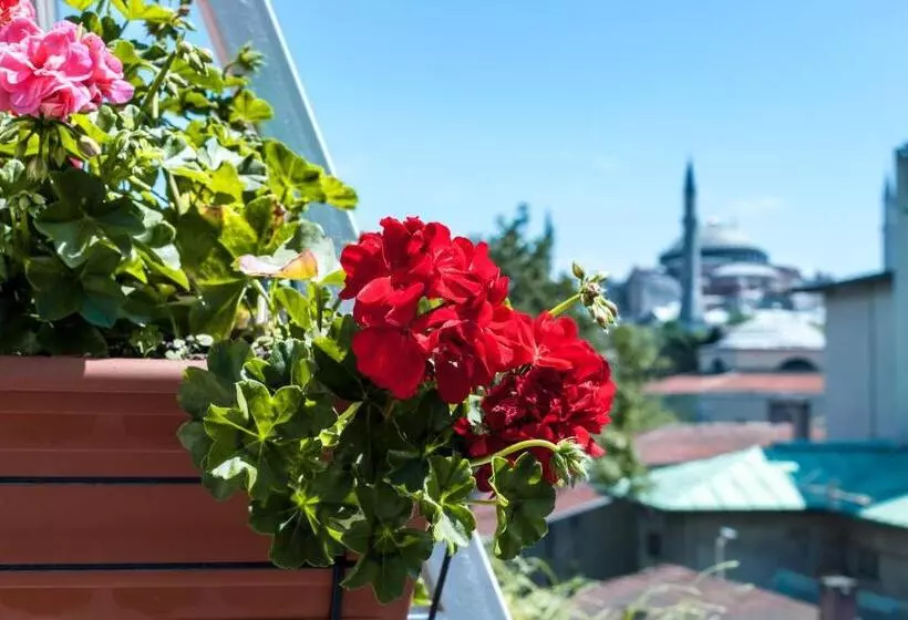 Fotos del hotel Sude Konak:  21