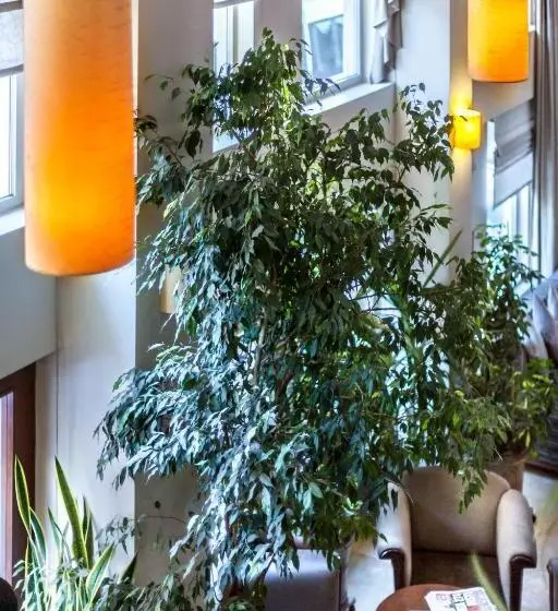 Fotos del hotel Sude Konak:  9