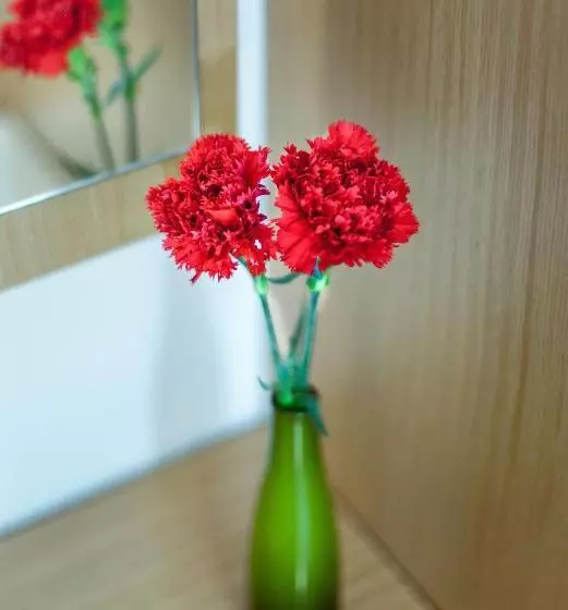 Fotos del hotel Sude Konak:  23