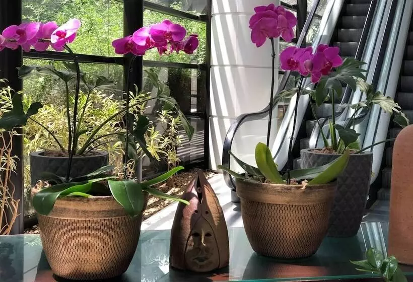 Fotos del hotel Mercure São Paulo Grand Plaza Paulista:  14