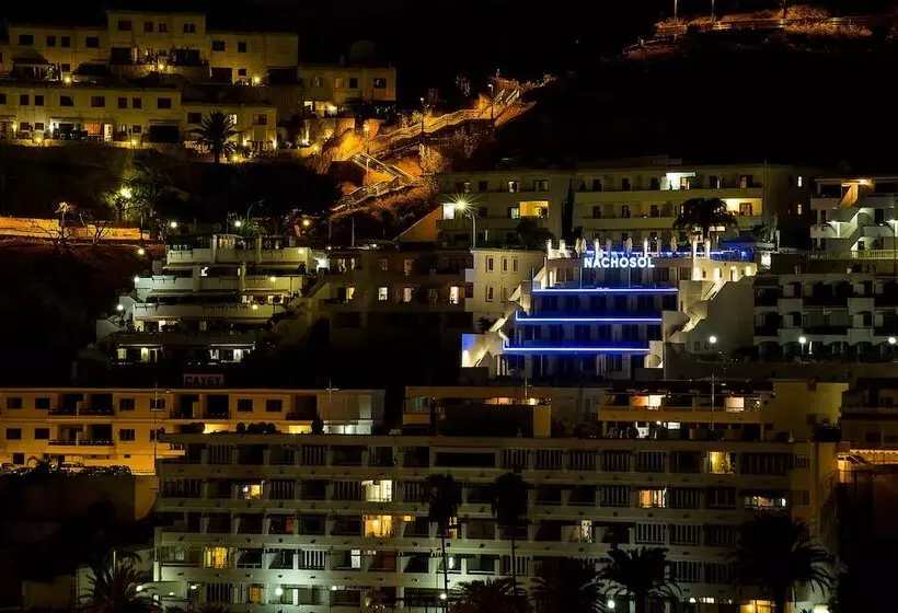 Fotos del hotel Ig Nachosol Premium Apartments By Servatur:  35