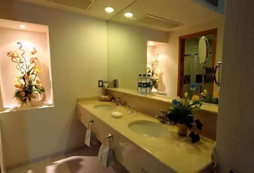 Fotos del hotel Grand  Plaza Veracruz:  16