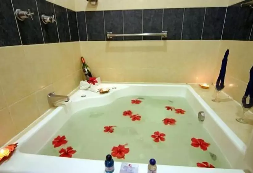 Fotos del hotel Grand  Plaza Veracruz:  5