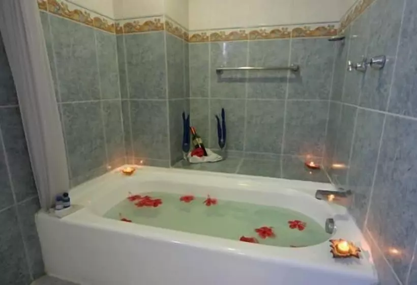 Fotos del hotel Grand  Plaza Veracruz:  11