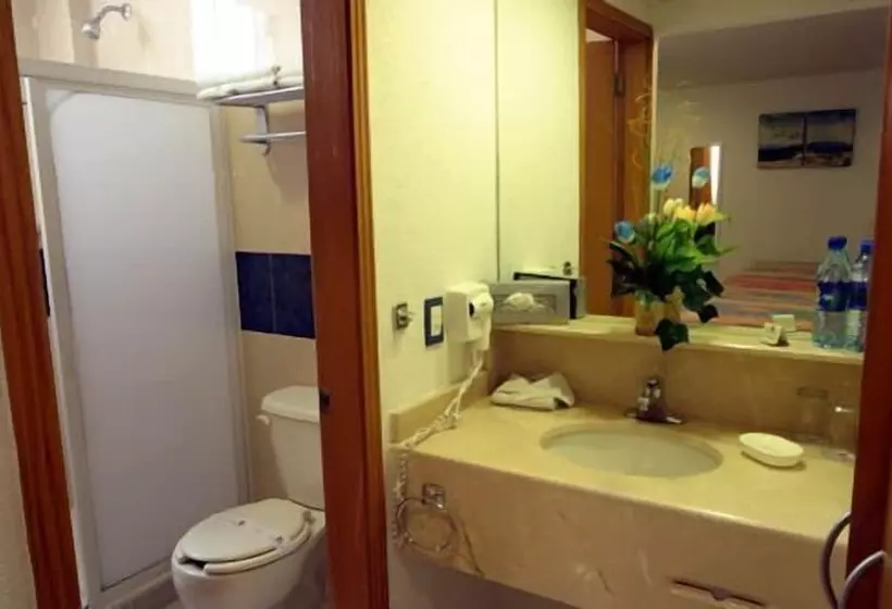 Fotos del hotel Grand  Plaza Veracruz:  14