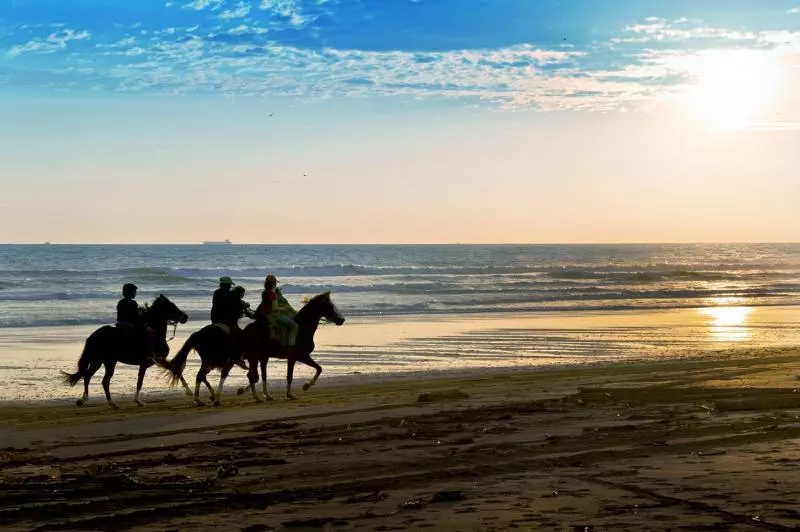 Fotos del hotel Las Olas Beach Resort:  12