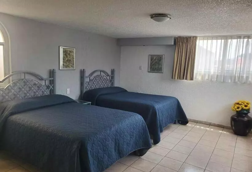 Fotos del hotel Qualitel Plus:  6