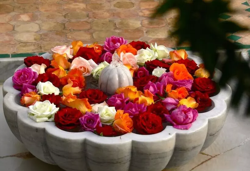 Fotos del hotel Riad El Mezouar:  6