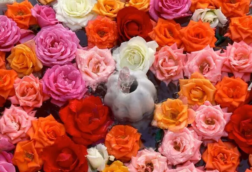 Fotos del hotel Riad El Mezouar:  15