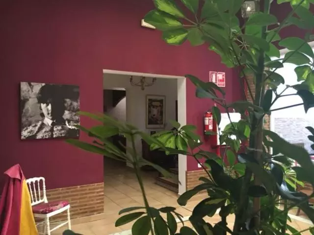 Fotos del hotel Andalou:  13