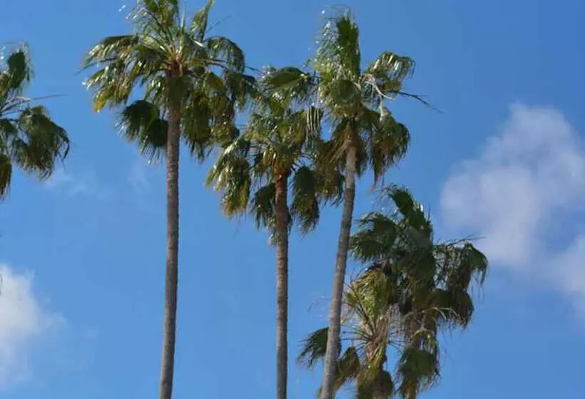 Fotos del hotel Ath Hôtel Athénée:  7