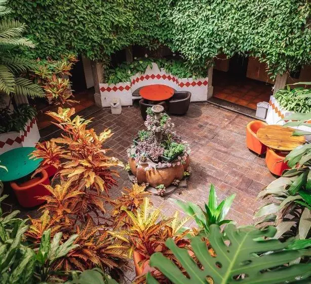 Fotos del hotel El Carmen:  13