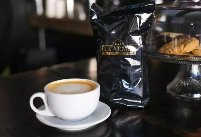 Fotos del hotel El Carmen:  14