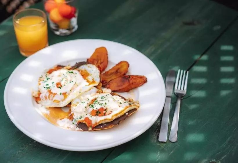 Fotos del hotel El Carmen:  12