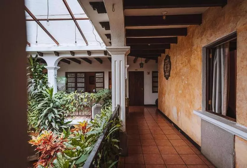 Fotos del hotel El Carmen:  25