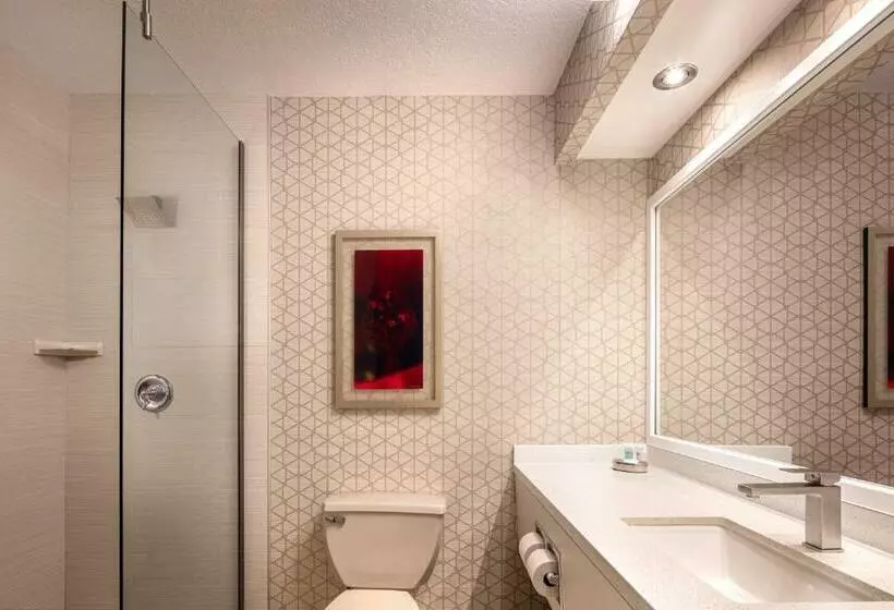 Fotos del hotel Luxor:  16